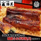 うなぎ 国産 蒲焼き弁当 2食セット【上】 (タレ山椒付) 送料無料 駅弁 冷凍弁当 うなぎ蒲焼き 鰻蒲焼 うなぎ蒲焼 浜名湖 浜松 鰻 ウナギ 個包装 冷凍食品