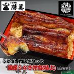 うなぎ 国産 蒲焼き弁当 2食セット【特上】 (タレ山椒付) 送料無料 駅弁 冷凍弁当 うなぎ蒲焼き 鰻蒲焼 うなぎ蒲焼 浜名湖 浜松 鰻 ウナギ 個包装 冷凍食品
