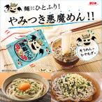 ショッピングうどん ふりかけ 薬味 送料無料 麺用 悪魔やくみ 20g(1袋) メール便