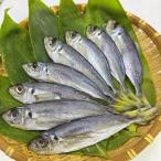 アジ丸干し6〜12本干物塩干し産地...
