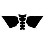 g2 protection накладка WORLD WALK( world walk ) HAWK11