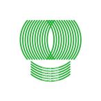  наклейка на обод зеленый WORLD WALK( world walk ) Ninja400( Ninja )