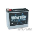 WCP20 PLATINUM серии (AGM аккумулятор ) оригинальный 96991-82B сменный WESTCO( талия ko)