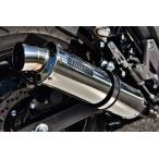 Vストローム250（V-Strom250