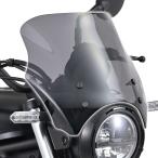 デイトナ (Daytona) バイク用 スクリーン エリミネーター (24) 専用