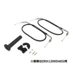  compact высокий дроссель комплект черный POSH(poshu) ZRX1200 DAEG(daeg)