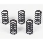 CBR250R усиленный пружина сцепления комплект (5 шт ) SP Takegawa (TAKEGAWA)