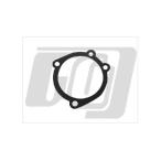 CV кабина для воздухоочиститель прокладка GUTS CHROME( Guts хром )