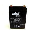  Monkey (MONKEY) MF12V2.3Ah аккумулятор premium упаковка MINIMOTO( Minimoto )
