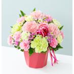 母の日 フラワーギフト 花キューピット アレンジメント （カーネーションのハミングアレンジメント　ピンク） 【521367】