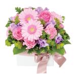 花キューピット アレンジメント 春のお祝い 1〜3月 お祝い  卒業祝 入学祝 ホワイトデー 誕生日 記念日 イベント 発表会 お見舞 歓送迎 【523023】