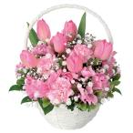 花キューピット アレンジメント 春のお祝い 1〜3月 お祝い  卒業祝 入学祝 ホワイトデー 誕生日 記念日 イベント 発表会 お見舞 歓送迎 【524182】