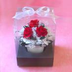 k задний бардачок M