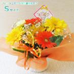 5/5〜5/12のお届け不可 送料無料 一部地域を除く 生花 誕生日 記念日 プレゼント 切花 結婚 フレッシュガーベラの素敵花カゴ Sサイズ