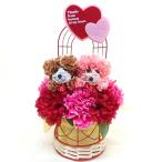 早割母の日ペアプードルカーネーショ...