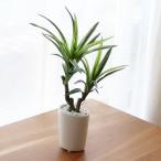 人工観葉植物フェイクグリーンドラセ...