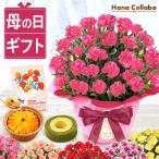 母の日 カーネーション ギフト 2026 花とスイーツ 花 鉢植え プレゼント 和菓子 お菓子 花とお菓子 おしゃれ 50代 60代 70代 80代