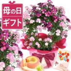 母の日 ギフト バラ 2026 花 鉢植え 花とスイーツ プレゼント カーネーション以外 お菓子 洋菓子 スイーツ かわいい 希少 60代 70代 80代