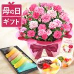 母の日 カーネーション ギフト 花とスイーツ プレゼント 花 2025 お菓子 花とお菓子 鉢植え ギフトセット セット 生花 50代 60代 70代 80代