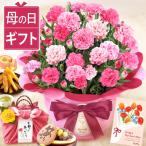 母の日 花とスイーツ ギフト カーネーション プレゼント 2026 花 鉢植え スイーツ 花とお菓子 花苗 お菓子 洋菓子 和菓子 60代 70代 80代