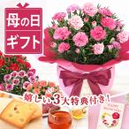 母の日 カーネーション ギフト 花とスイーツ プレゼント 花 2025 お菓子 鉢植え 洋菓子 焼き菓子 花とお菓子 ギフトセット 60代 70代 80代