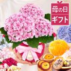  День матери .... редкий подарок цветок . конфеты 2026 растение в горшке цветок подарок фиолетовый . цветок сладости кондитерские изделия цветок . сладости подарок комплект 50 плата 60 плата 70 плата 80 плата 