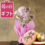 母の日 盆栽 桜 ギフト 花とスイーツ 鉢植え プレゼント 花 2026 お菓子 和菓子 ギフトセット 生花 おしゃれ 食べ物 50代 60代 70代 80代