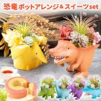 ティラノサウルス 誕生日プレゼント 子供4歳 内祝い お祝い 結婚祝い 恐竜 アレンジメント バラ ギフト 洋菓子 お菓子 花とスイーツ 男の子 キャラクター