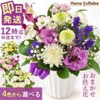 o...... цветок ... цветок аранжировка случайный живые цветы домашний алтарь для . цветок отправка в тот же день бесплатная доставка жизнь день новый поддон первый поддон один .. закон необходимо O-Bon букет M размер 