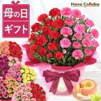 母の日 ギフト 花とスイーツ プレゼント 花 2025 カーネーション 鉢植え 母の日ギフト ギフトセット お菓子 メッセージ 50代 60代 70代 80代