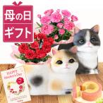 母の日 ギフト 花とスイーツ カーネーション 猫 プレゼント 花 2025 鉢植え お菓子 洋菓子 かわいい ギフトセット 生花 50代 60代 70代 80代