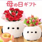母の日 花とスイーツ ギフト シマエナガ プレゼント 花 2026 カーネーション 鉢植え お菓子 洋菓子 花とお菓子 かわいい 50代 60代 70代 80代
