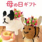 母の日 花とスイーツ ギフト 犬 プレゼント 花 2026 カーネーション 鉢植え お菓子 洋菓子 花とお菓子 かわいい 動物 アニマル 50代 60代 70代 80代