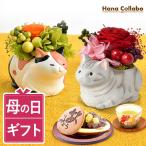 ショッピング花 母の日 プレゼント 花 2024 ギフト 猫 ねこ 猫好き ミニ プリザーブドフラワー お菓子 和菓子 花とスイーツ かわいい おしゃれ 50代 60代 70代