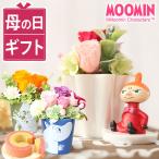  Mother's Day present flower 2024 gift confection preserved flower Moomin character sweets set lovely stylish 60 fee 70 fee 80 fee 90 fee 