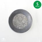  жестяная пластина производства автомобиль свекла Ray S размер поддонник модный горшок . жестяная пластина tray [ Япония mail клик post соответствует возможно 1 через 9 шт до ]