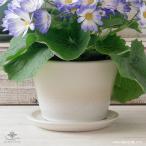 プランター おしゃれ 植木鉢 信楽焼 ルフトミドル 白 約5号