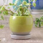  pop цвет раунд pot желтый зеленый примерно 3 номер поддонник есть модный цветочный горшок 