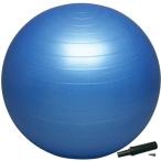 HATAS( - tas) фитбол безопасность 55cm насос есть DB55P