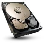 Seagate Constellation 2 серии 2.5inch SATA 6Gb/s 1TB 7200rpm 64MB ST91000640N