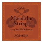 ARIA AGS-100MA Mandolin マンドリン弦