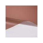 3M Scotch tintof Lost * bronze SH2FRBRX A3 SH2FRBRX A3