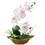 胡蝶蘭 造花 人工観葉植物 光触媒加工 卓上型 船型の鉢植 石鉢インテリア フェイク シルクフラワー 胡蝶蘭 新築祝い お開店祝いギフトに最適 プレゼ