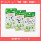 ショッピングハーブ 【第2類医薬品】エバシェリーンハーブ錠　24錠（3個セット）
