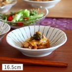 食器 和食器 美濃焼 浅鉢 中皿 深皿 