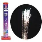 一瞬で創造される「いけばな」の真髄 華ノ音【打上げ花火】