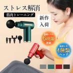 マッサージ器 筋膜リリース ハンディガン ストレス解消 筋肉トレーニング 4種類ヘッド 6段階調節 全身 腰 足 背中 肩 USB充電式 携帯便利