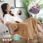 電気毛布 USB式 電気ひざ掛け 洗える 敷き兼用 加熱 USB給電 ブランケット 肩かけ 内蔵ヒーター 冷え対策 フランネル 暖房器具80*60cm