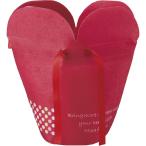 松村工芸 花きんちゃくポット5号 10�