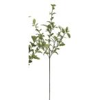  искусственный цветок MAGIQ Tokyo . Mini fa кальмар Крик зеленый FG004110-023 искусственный цветок лист предмет, искусственная зелень эвкалипт 